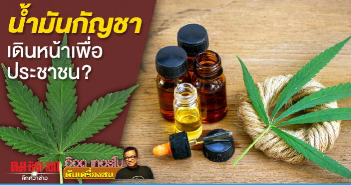 น้ำมันกัญชาเดินหน้าเพื่อประชาชน?