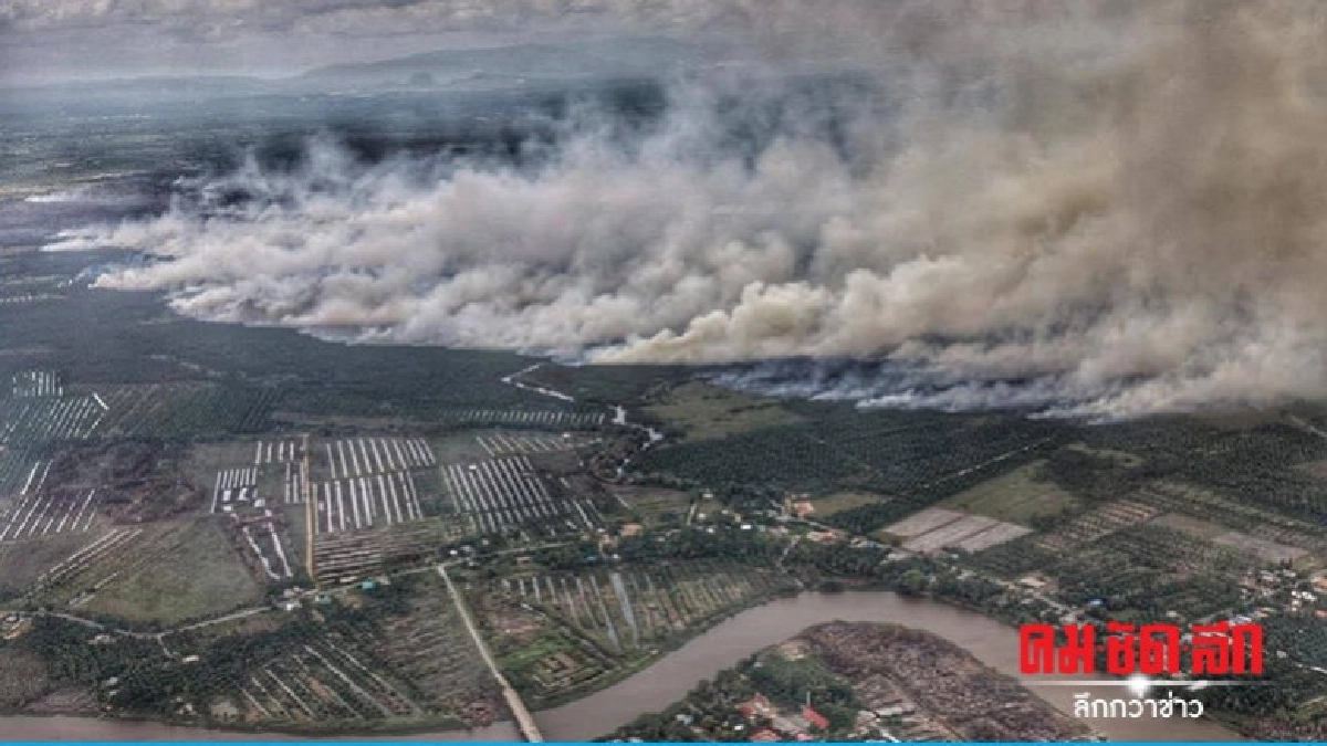ภาพมุมสูง "สภาพป่าพรุควนเคร็ง" จากแบลคฮอร์ค ทภ.4 ภาพมุมสูง "สภาพป่าพรุควนเคร็ง" จากแบลคฮอร์ค ทภ.4