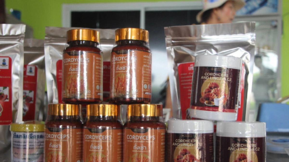 ศูนย์ศึกษาเขาหินซ้อนฯ"สนับสนุนเกษตรกรเพาะเห็ดถังเช่าสีทอง