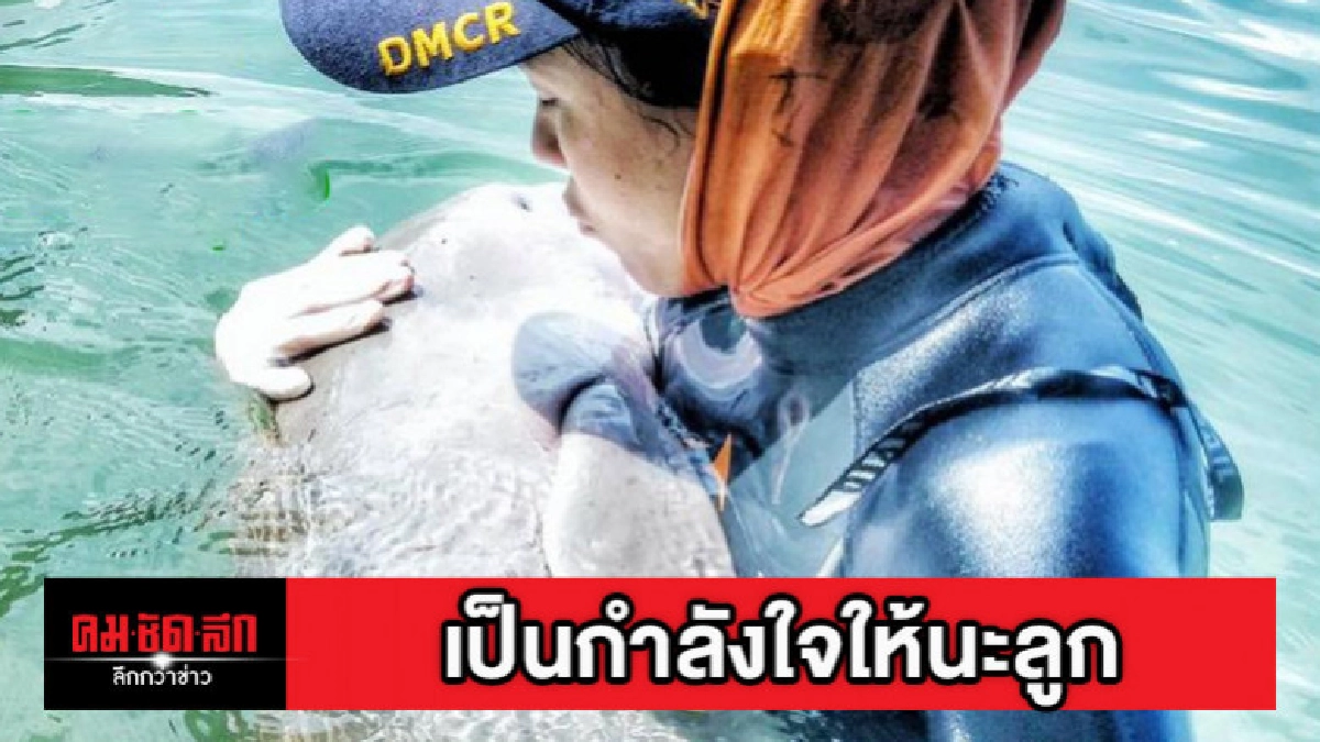 เตรียม ฮ. ส่งมาเรียมรักษาอาการป่วยหลังพบติดเชื้อในกระแสเลือด เตรียม ฮ. ส่งมาเรียมรักษาอาการป่วยหลังพบติดเชื้อในกระแสเลือด