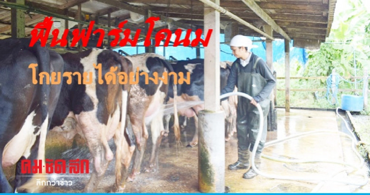 เจ๋ง..ฟื้นฟาร์มโคนม โกยเงินเป๋าตุง