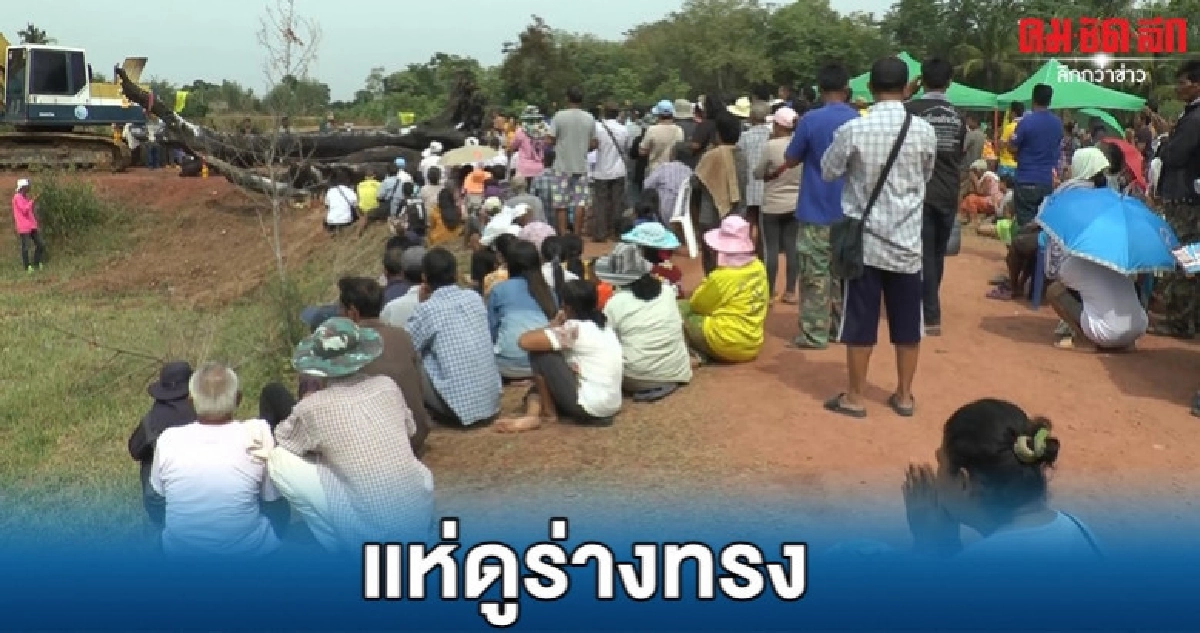 ชาวบ้านร่วมพิธียกต้นตะเคียนขึ้นรถ แห่ขอโชคลาภ ชาวบ้านร่วมพิธียกต้นตะเคียนขึ้นรถ แห่ขอโชคลาภ
