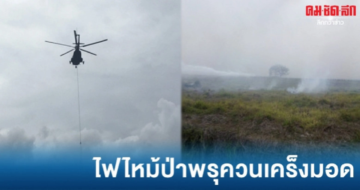 ไฟไหม้ป่าพรุควนเคร็งมอดเข้าสู่สภาวะปกติ ไฟไหม้ป่าพรุควนเคร็งมอดเข้าสู่สภาวะปกติ