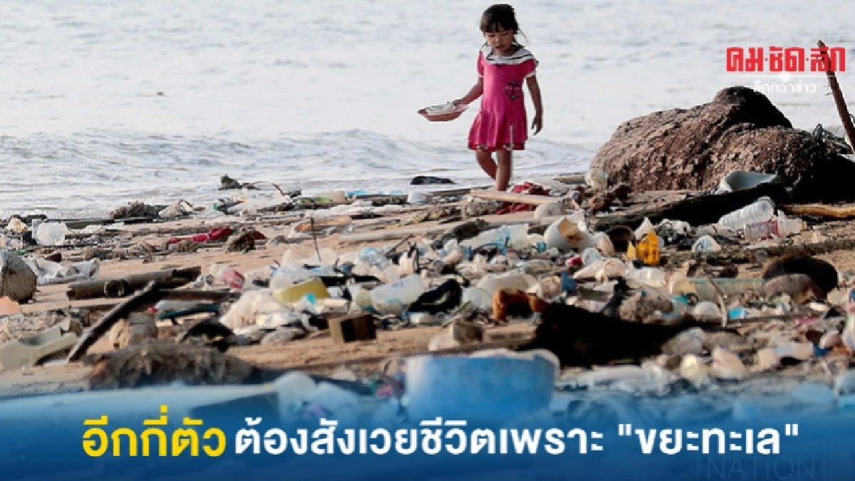 ขยะทะเล หนึ่งในสาเหตุคร่าชีวิต มาเรียม 