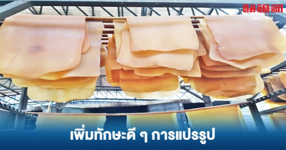 ทักษะดี ๆ แปรรูปยาง