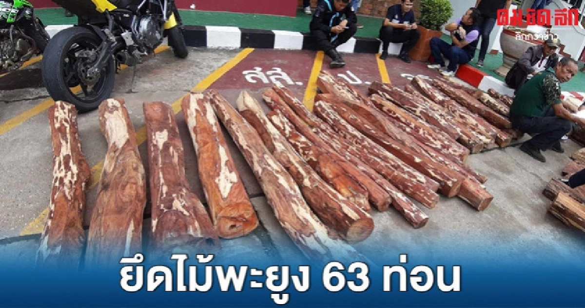 (คลิป) ยึดเพียบ ไม้พะยูง 63 ท่อน (คลิป) ยึดเพียบ ไม้พะยูง 63 ท่อน