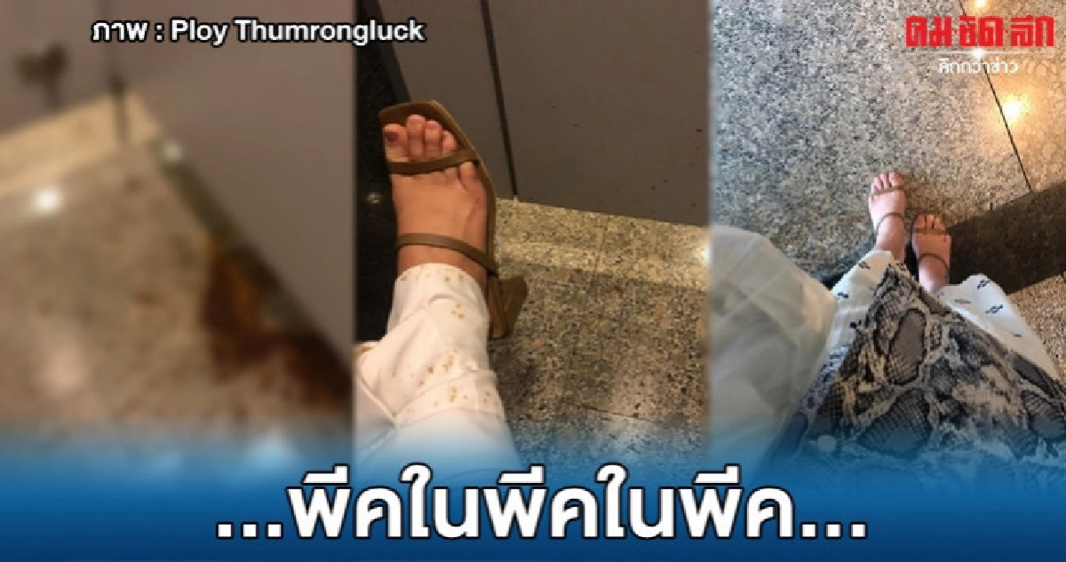 จะอ้วกแล้วประสบการณ์ที่พีคที่สุดในชีวิต จะอ้วกแล้วประสบการณ์ที่พีคที่สุดในชีวิต