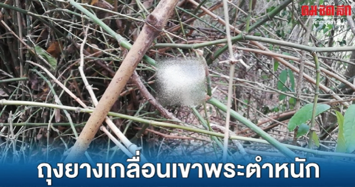 แชร์ว่อน ถุงยางใช้แล้วเกลื่อนเขาพระตำหนัก แชร์ว่อน ถุงยางใช้แล้วเกลื่อนเขาพระตำหนัก