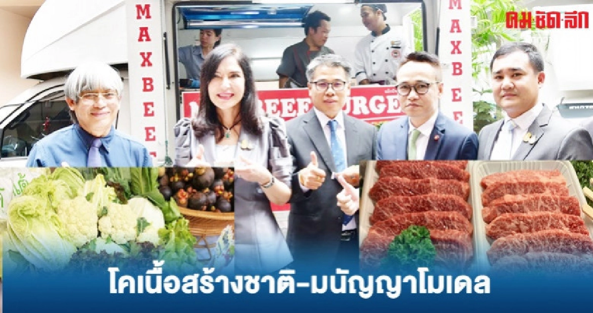 โคเนื้อสร้างชาติ-มนัญญาโมเดล