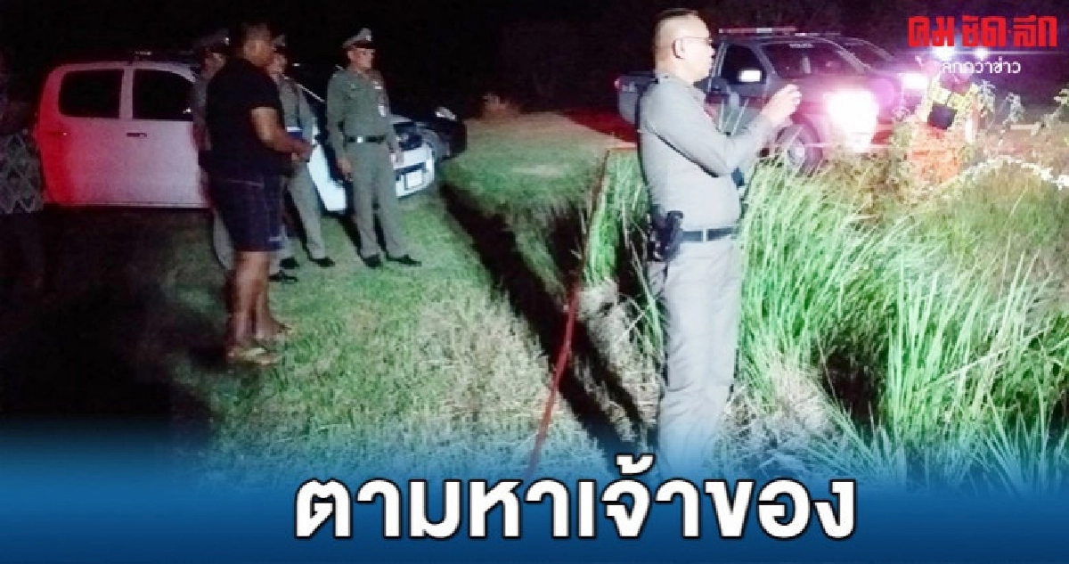 ผงะ พบข้อขากลางรีสอร์ท