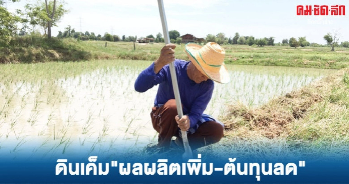 นาดินเค็ม ผลผลิตเพิ่ม ลดต้นทุน