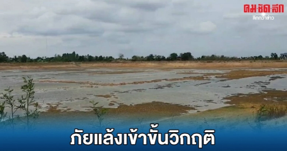 ไม่มีฝนสิ้นกันยานี้น้ำเกลี้ยง ไม่มีฝนสิ้นกันยานี้น้ำเกลี้ยง