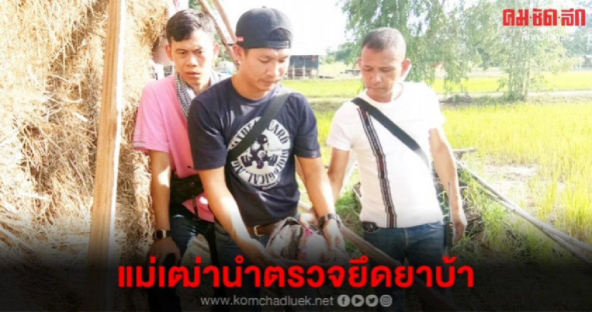 แม่เฒ่านำตรวจยึดยาบ้า แม่เฒ่านำตรวจยึดยาบ้า