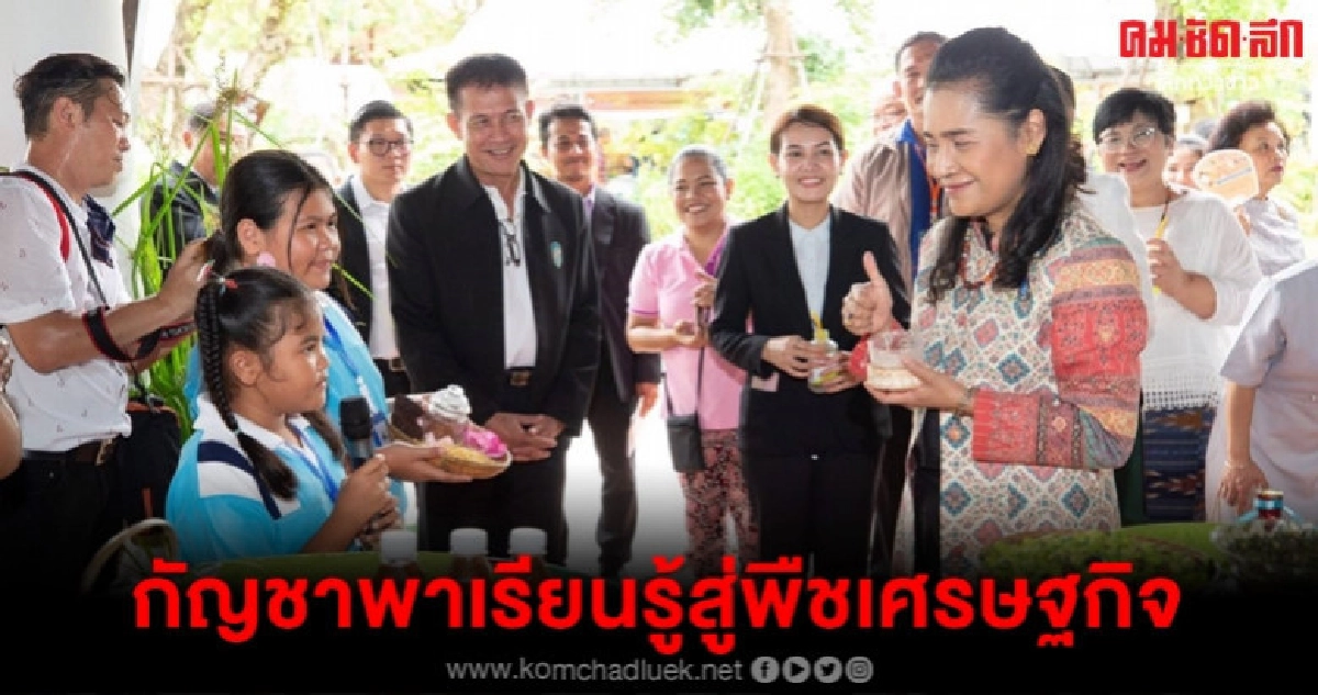 รมช.ศึกษาดันหลักสูตรกัญชาพาเรียนรู้สู่พืชเศรษฐกิจ รมช.ศึกษาดันหลักสูตรกัญชาพาเรียนรู้สู่พืชเศรษฐกิจ
