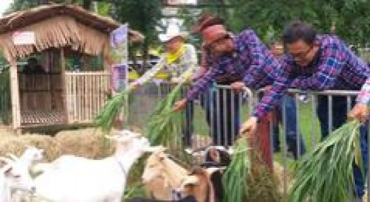 เปิดโลกปศุสัตว์อันดามัน@ภูเก็ต 