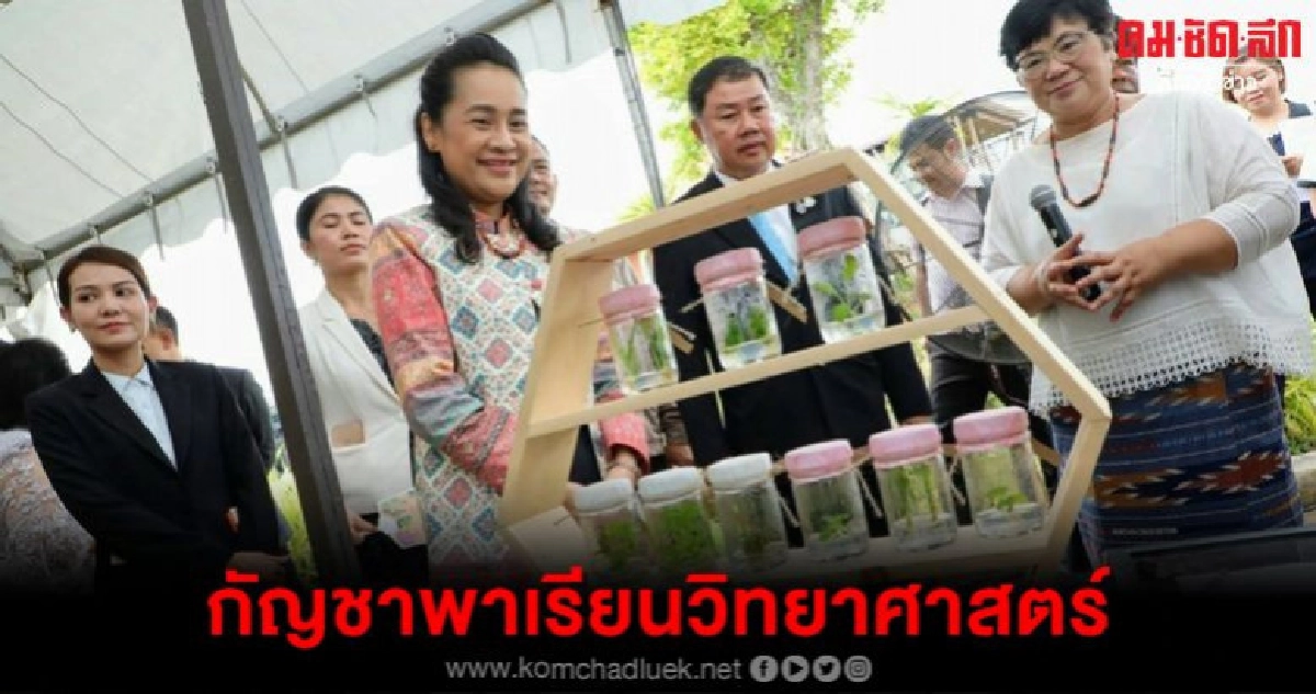 กัญชาพาเรียนวิทยาศาสตร์ กัญชาพาเรียนวิทยาศาสตร์