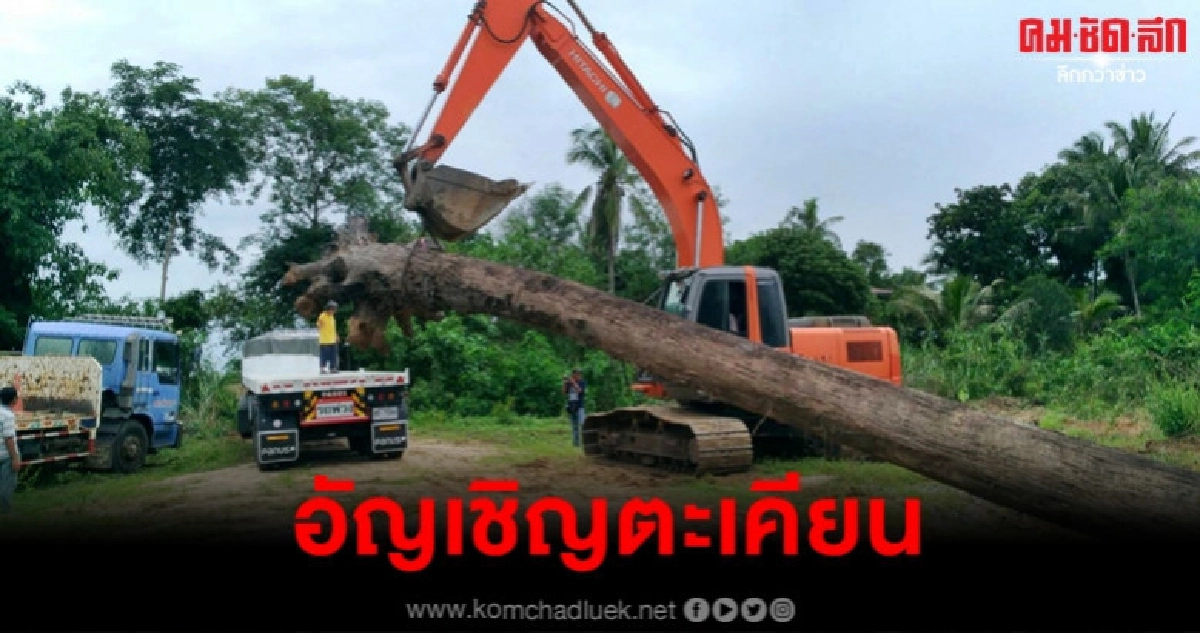 (คลิป) พิธีอัญเชิญ ตะเคียนยักษ์ ไปวัดเขาถ้ำประทุน (คลิป) พิธีอัญเชิญ ตะเคียนยักษ์ ไปวัดเขาถ้ำประทุน