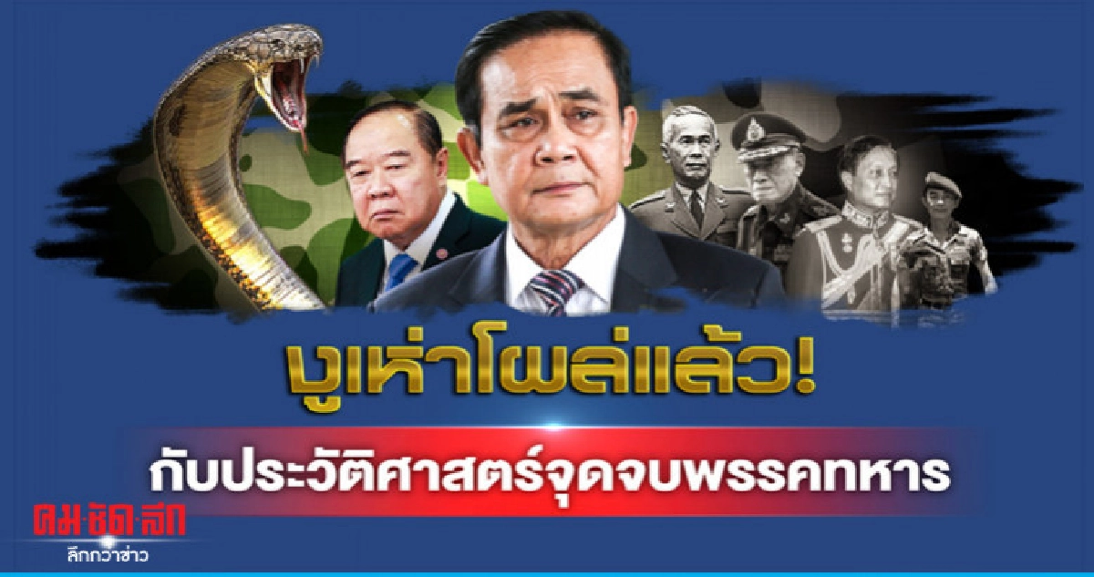 งูเห่าโผล่แล้ว กับประวัติศาสตร์จุดจบพรรคทหาร งูเห่าโผล่แล้ว กับประวัติศาสตร์จุดจบพรรคทหาร