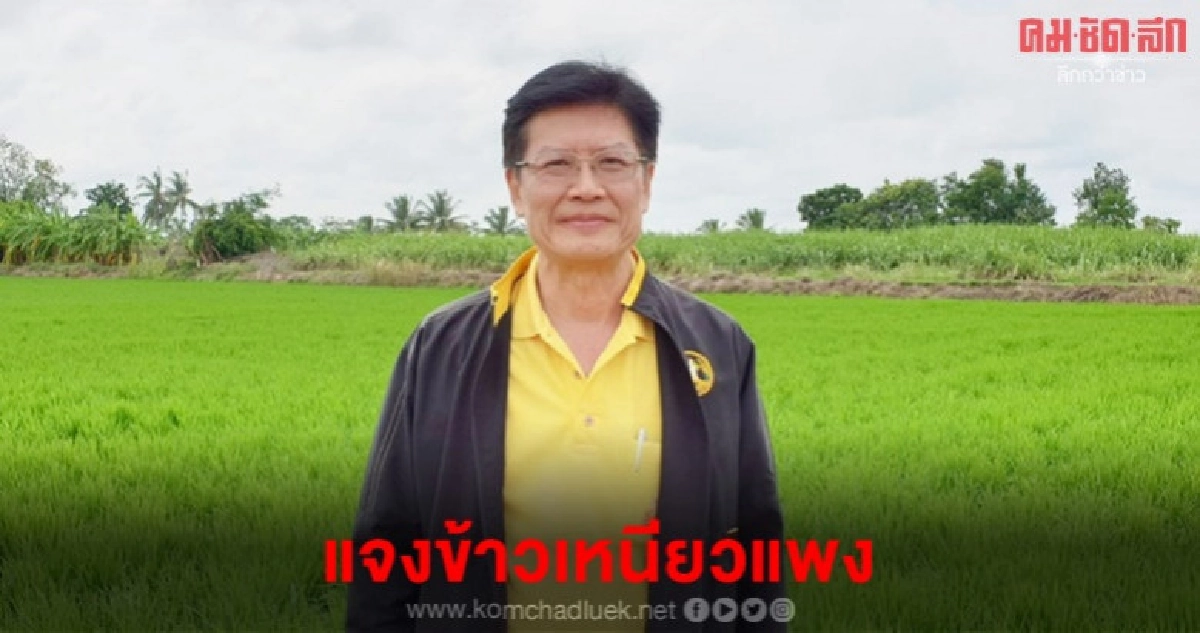 กรมการข้าวแจง ด้วยเหตุนี้ข้าวเหนียวแพงเว่อร์ กรมการข้าวแจง ด้วยเหตุนี้ข้าวเหนียวแพงเว่อร์