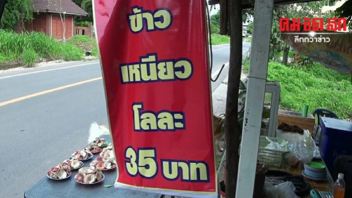 ฉุดไม่อยู่ ข้าวเหนียวพะเยาปรับราคาสูงต่อเนื่อง ฉุดไม่อยู่ ข้าวเหนียวพะเยาปรับราคาสูงต่อเนื่อง