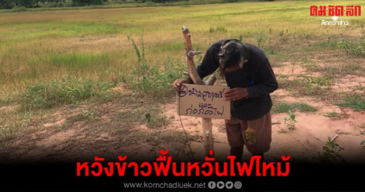 อย่าเผาหวังฝนมาต้นข้าวจะฟื้น อย่าเผาหวังฝนมาต้นข้าวจะฟื้น