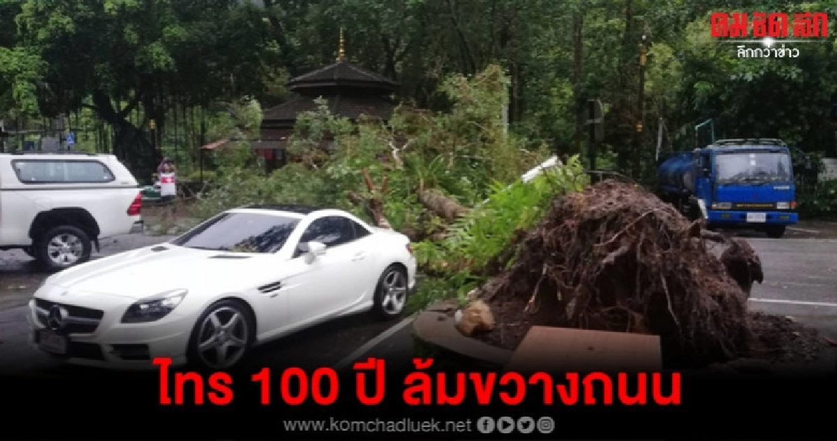ฝนตกหนักลมกระโชกแรงไทร 100 ปี ล้มขวางถนน ฝนตกหนักลมกระโชกแรงไทร 100 ปี ล้มขวางถนน
