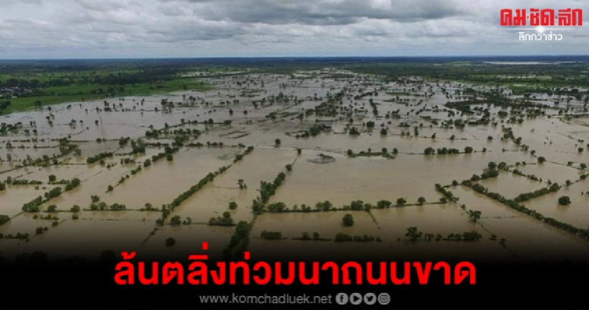 น้ำในลำเซบายล้นตลิ่งท่วมนาข้าวมีถนนขาด น้ำในลำเซบายล้นตลิ่งท่วมนาข้าวมีถนนขาด