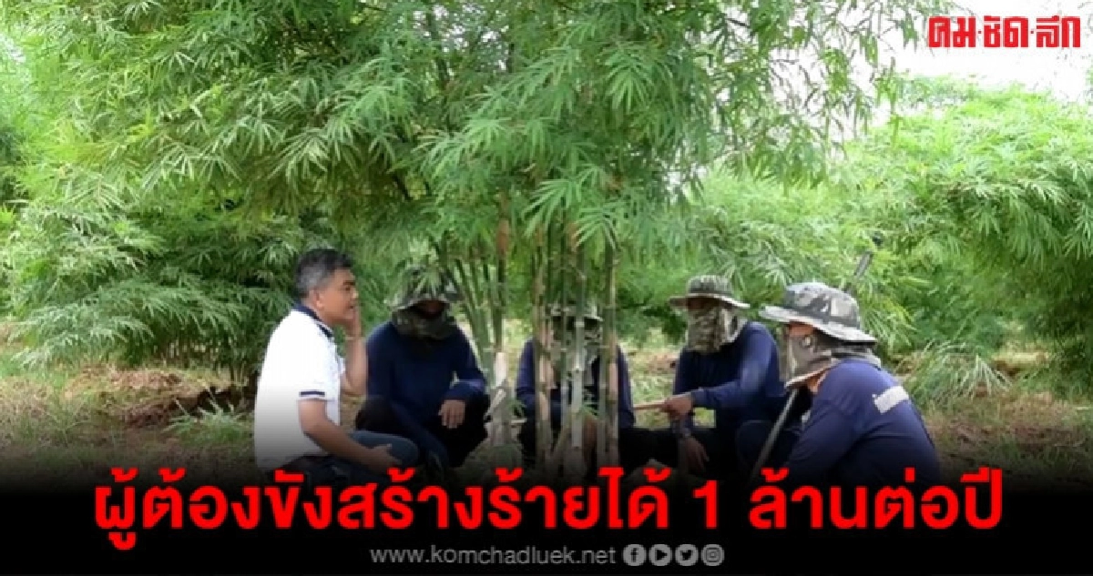 หนุนผู้ต้องขังเรียนรู้การเกษตรสร้างรายได้ หนุนผู้ต้องขังเรียนรู้การเกษตรสร้างรายได้