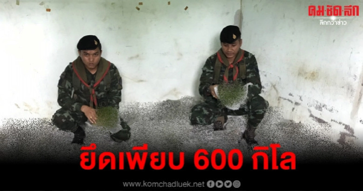 ผงะ ใบกระท่อม 600 กก. ซุกบ้านเช่า