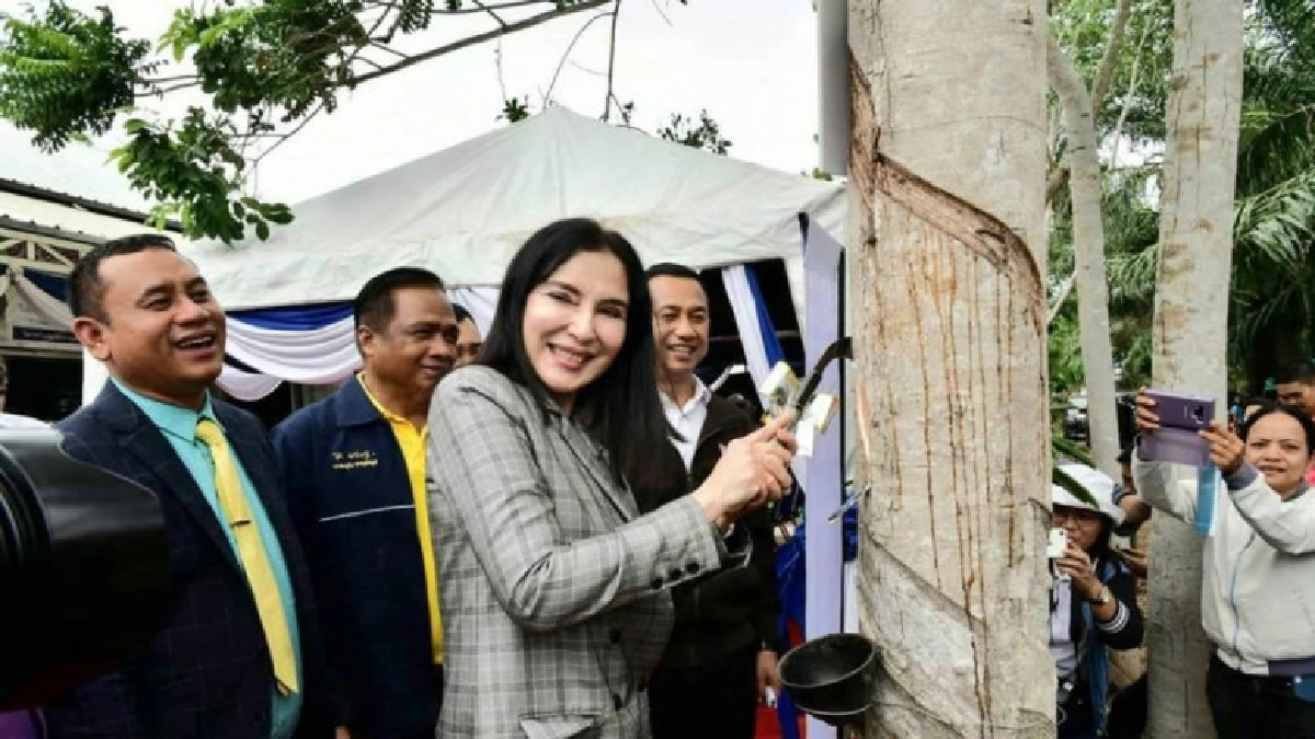 รมช.เกษตรฯหนุน"สหกรณ์"ผลิต"กรวยยาง-แบริเออร์" รมช.เกษตรฯหนุน"สหกรณ์"ผลิต"กรวยยาง-แบริเออร์"
