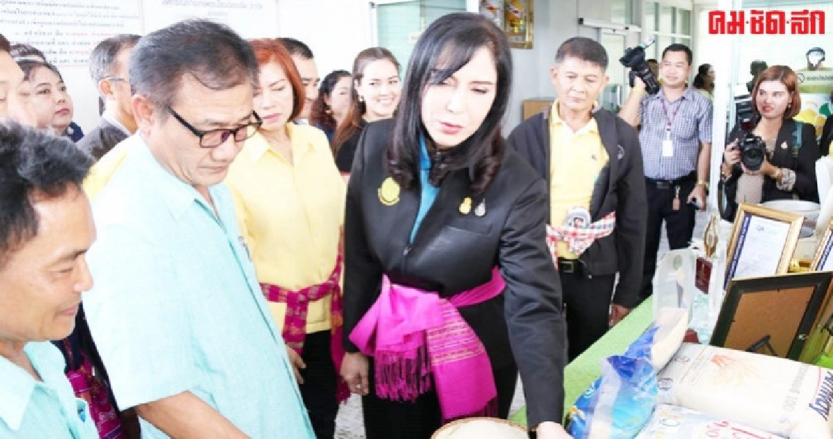 มนัญญา ดันซุปเปอร์มาเก็ตสหกรณ์ เน้นตลาดนำการผลิต มนัญญา ดันซุปเปอร์มาเก็ตสหกรณ์ เน้นตลาดนำการผลิต