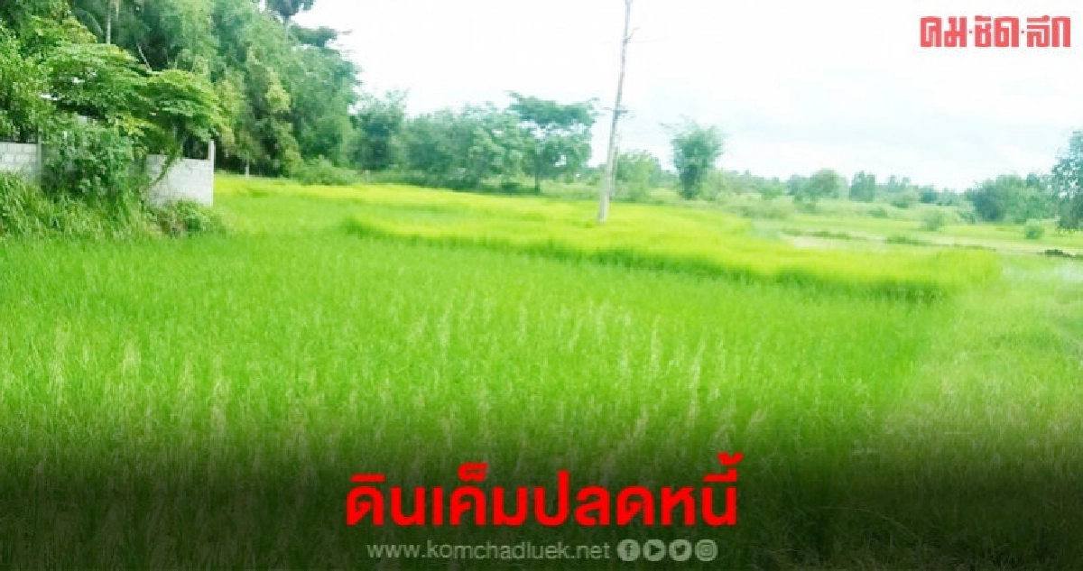 ดินเค็มปลดหนี้ ดินเค็มปลดหนี้