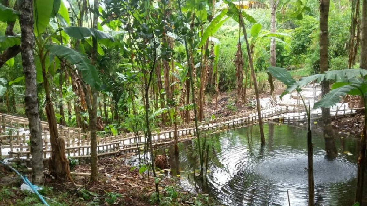 ส.ป.ก. จัดโครงการจิตอาสาสืบสานการสร้างป่า-เกษตรกรรมยั่งยืน 