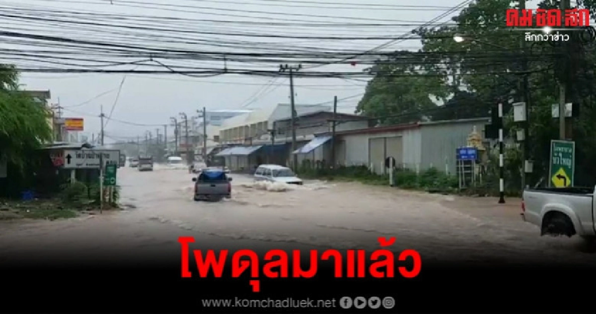 ชาวนาโคราชเฮ ฝนตกใส่นาข้าว ชาวนาโคราชเฮ ฝนตกใส่นาข้าว