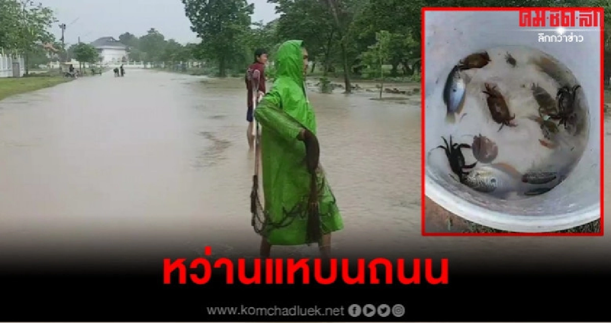 สีสันโคราชวันฝนตก