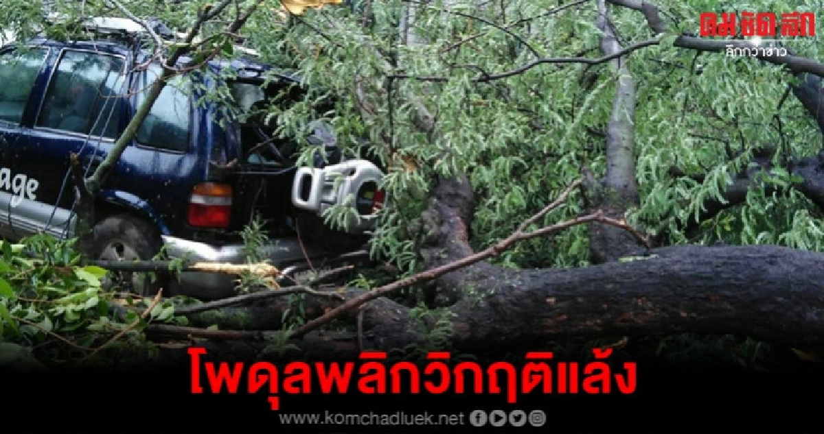 โพดุลแผงฤทธิ์ต้นไม้ร้อยปีล้มทับบ้านรถ โพดุลแผงฤทธิ์ต้นไม้ร้อยปีล้มทับบ้านรถ