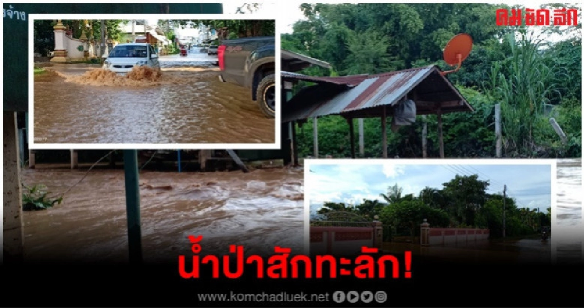 เดือดร้อนหนัก น้ำป่าสักท่วมบ้าน ถนน