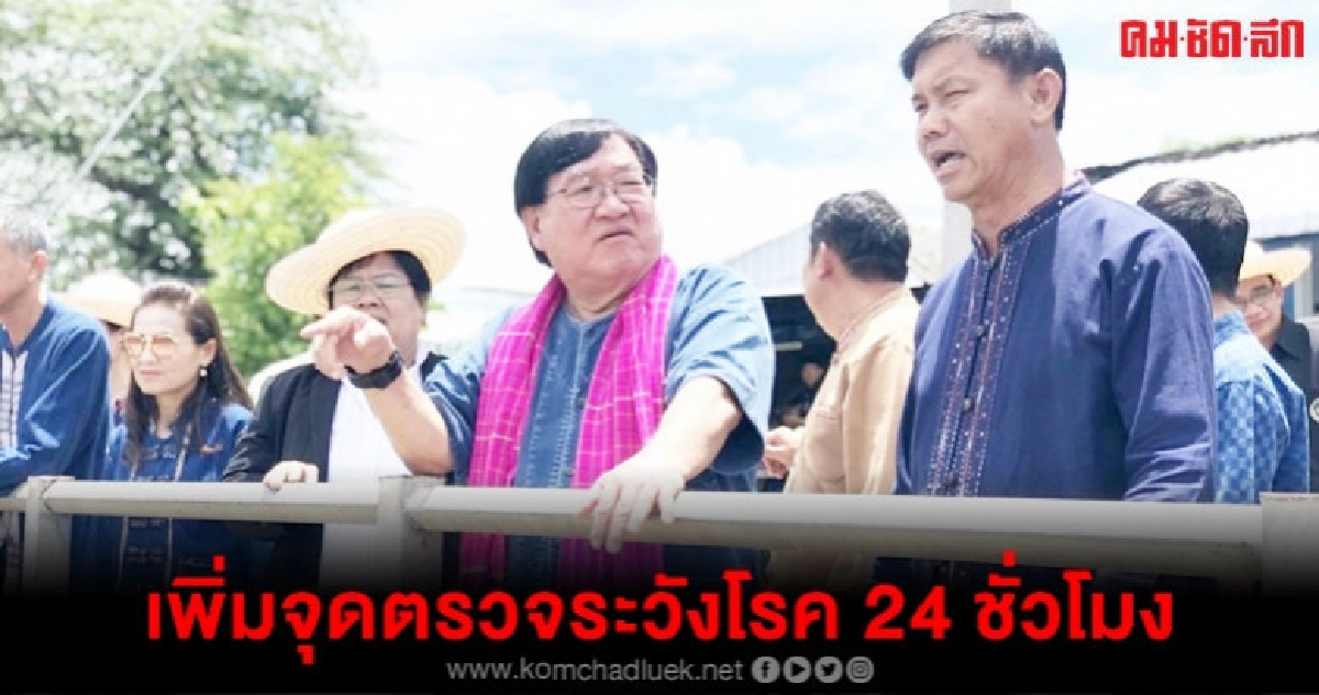 คุมเข้มอหิวาต์หมู 24 ชั่วโมง คุมเข้มอหิวาต์หมู 24 ชั่วโมง
