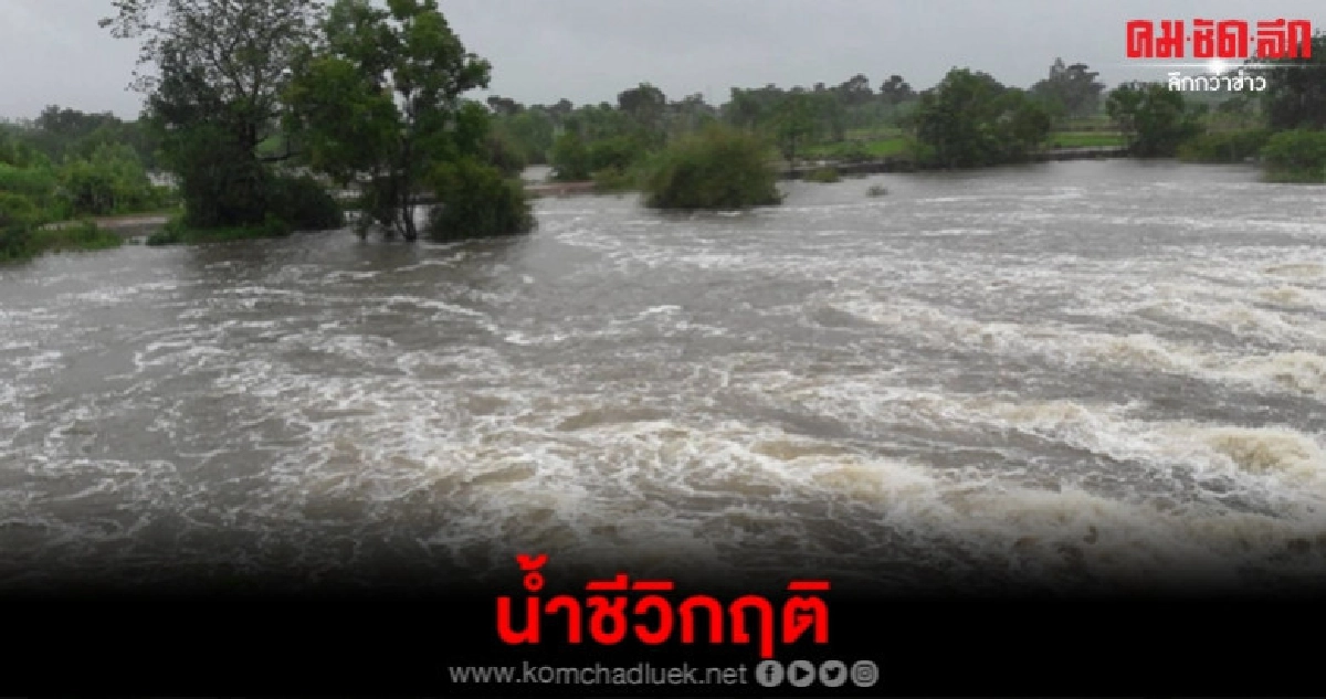 (คลิป) น้ำทะลัก ชาวศรีสะเกษกว่าพันครัวเรือนเดือดร้อนหนัก