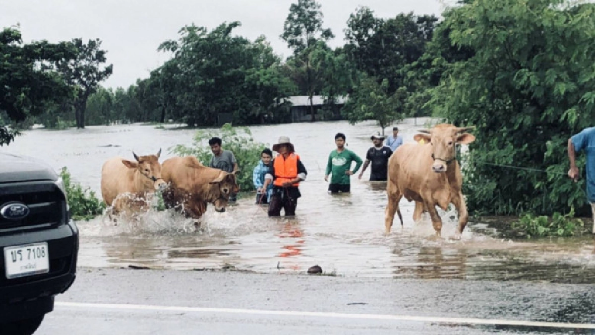 เฉลิมชัย สั่งลุยเร่งแก้ปัญหาน้ำท่วม
