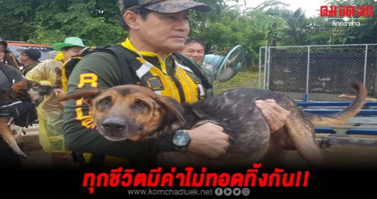 เปิดคลิปวินาทีไทด์เอกพันธ์อุ้มสุนัขหนีน้ำท่วมชุลมุน เปิดคลิปวินาทีไทด์เอกพันธ์อุ้มสุนัขหนีน้ำท่วมชุลมุน