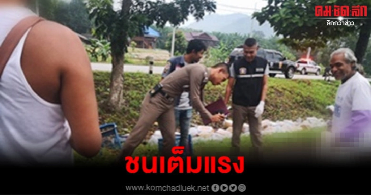 ชนสนั่น กระบะขนลองกองซิ่งเสียหลักพุ่งอัดต้นไม้ ชนสนั่น กระบะขนลองกองซิ่งเสียหลักพุ่งอัดต้นไม้