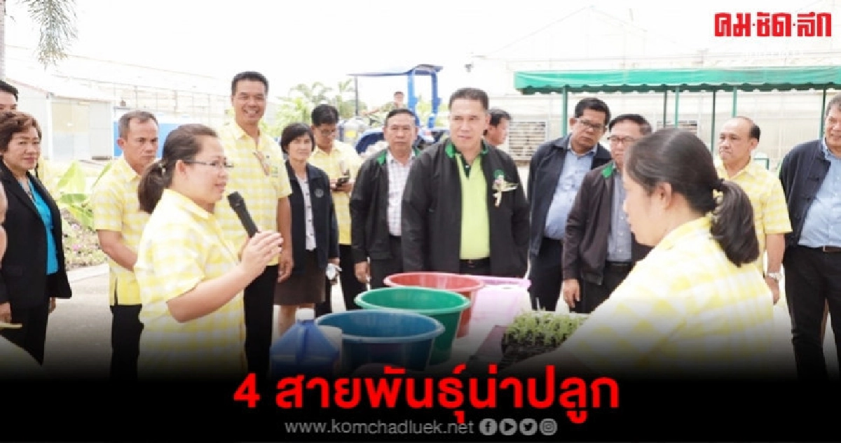 แนะพืช 4 สายพันธุ์ตอบโจทย์เกษตรกร