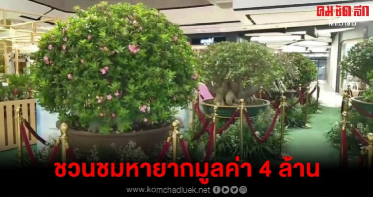 ชวนชมหายากมูลค่า 4 ล้าน