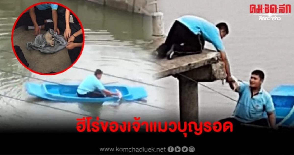 กองเชียร์เฮลั่น นร.ชายสวมบทฮีโร่พายเรือช่วยชีวิตลูกแมวในคลอง กองเชียร์เฮลั่น นร.ชายสวมบทฮีโร่พายเรือช่วยชีวิตลูกแมวในคลอง