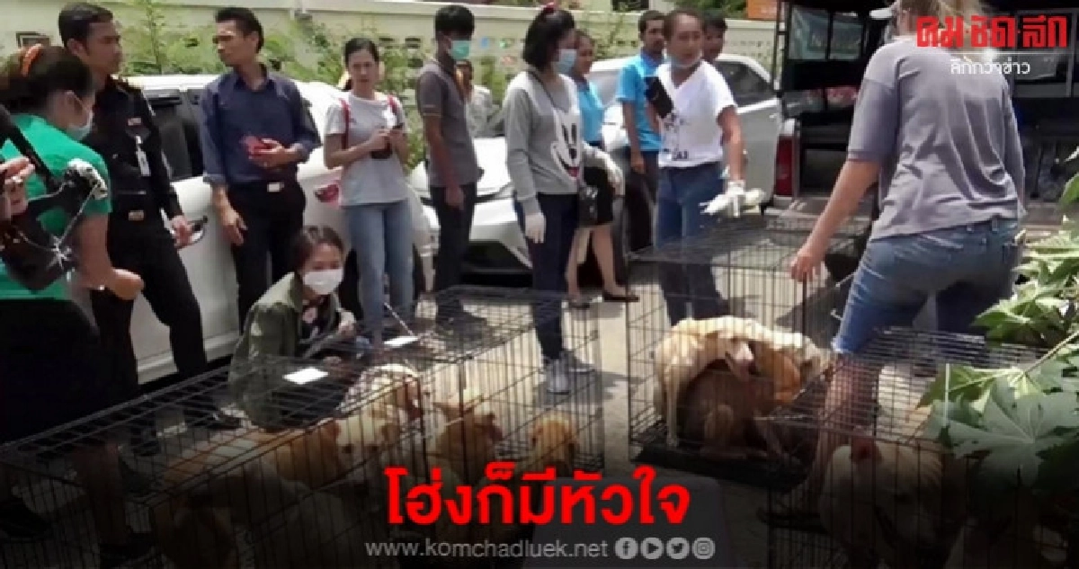 ปรับ 2 หมื่น ส่งฟ้องศาล หนุ่มอาสาขังลืมหมาแมว ปรับ 2 หมื่น ส่งฟ้องศาล หนุ่มอาสาขังลืมหมาแมว