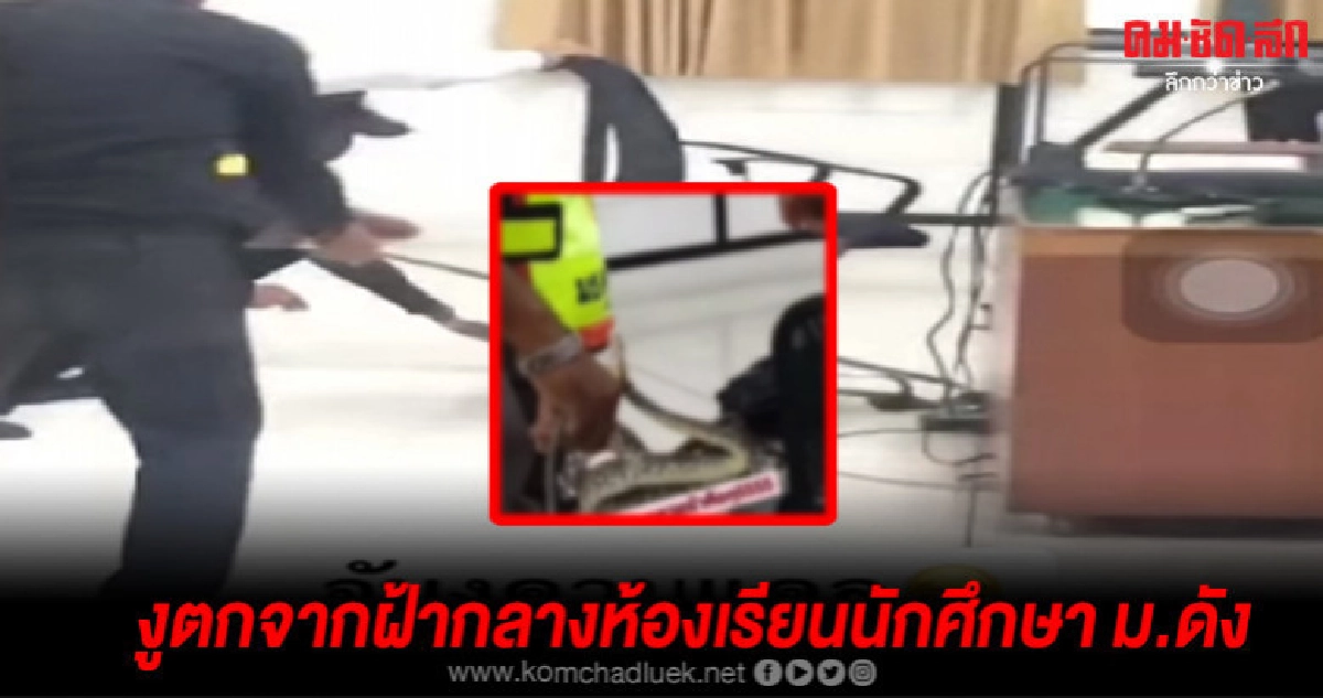 นักศึกษาแตกกระเจิง งูยักษ์ตกจากฝ้ากลางห้องเรียน (คลิป) นักศึกษาแตกกระเจิง งูยักษ์ตกจากฝ้ากลางห้องเรียน (คลิป)