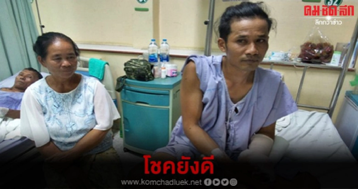 หนุ่มกรีดยาง แหวกหญ้าดูเจอหมีขย้ำ หนุ่มกรีดยาง แหวกหญ้าดูเจอหมีขย้ำ