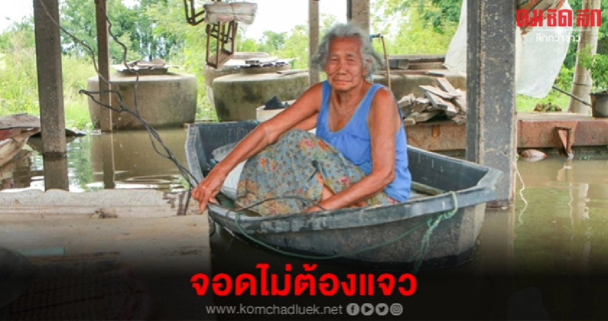 น้ำทะลักชุมแสง เฝ้าระวังมวลน้ำระลอก 2 น้ำทะลักชุมแสง เฝ้าระวังมวลน้ำระลอก 2