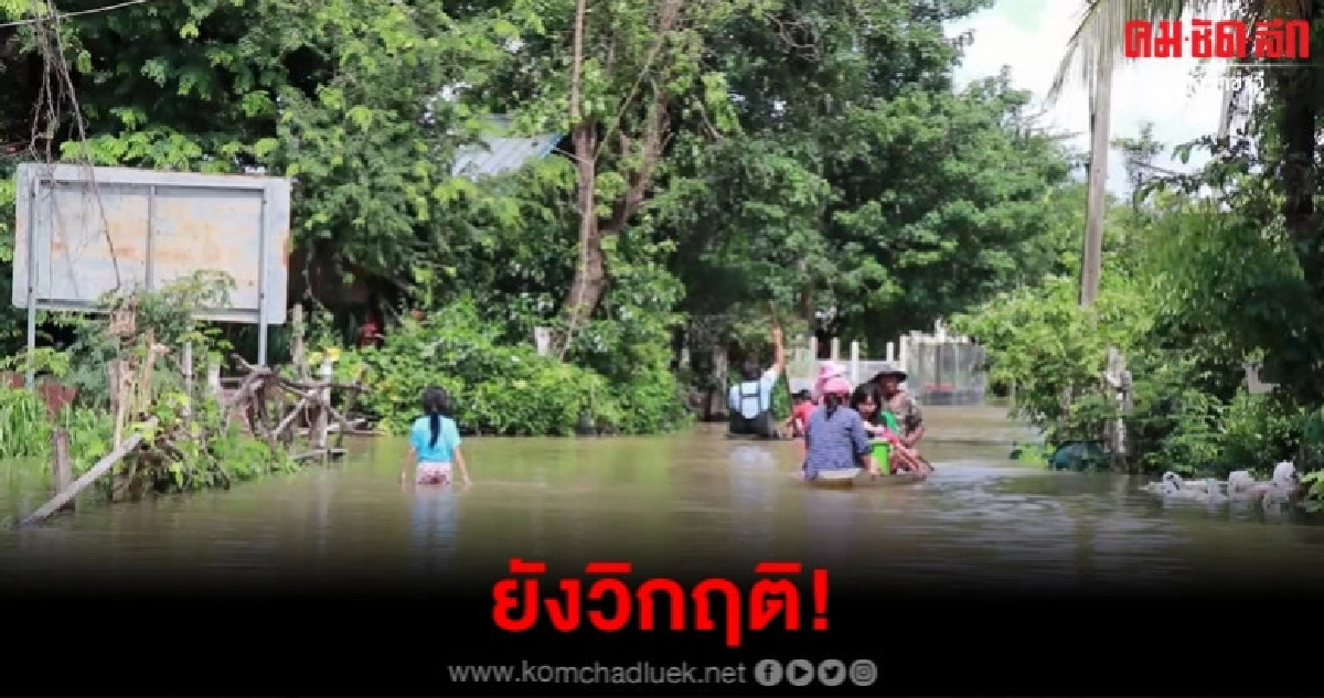 อำนาจเจริญยังวิกฤติ น้ำลำเซบายเอ่อท่วม 7 หมู่บ้านจมบาดาล